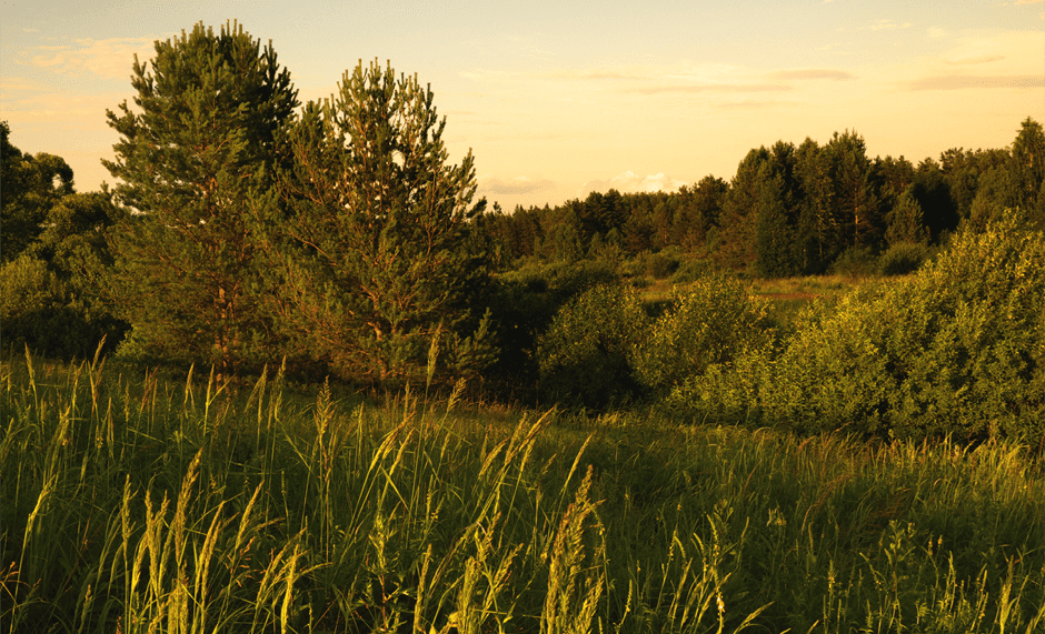 Программа по сохранению биологического разнообразия