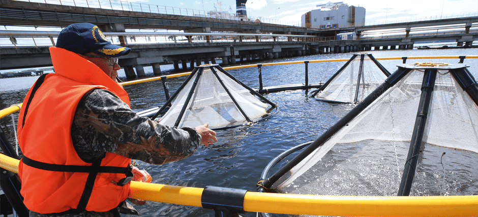 Программа по сохранению биологического разнообразия